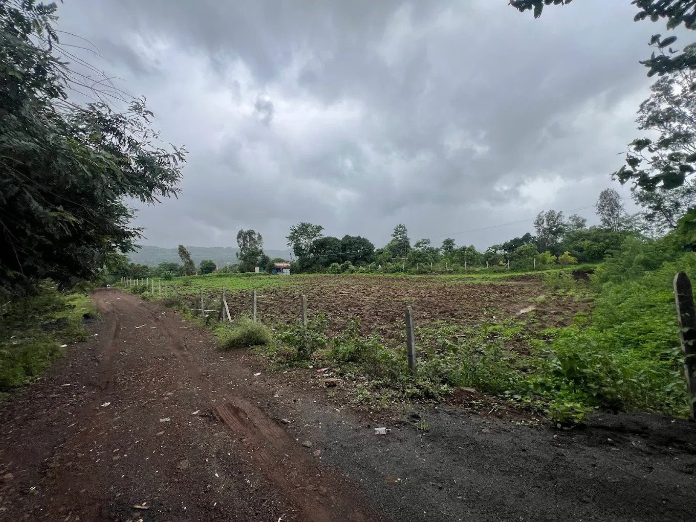 WhatsApp Image 2025-08-11 at 9.22.38 PM (8)