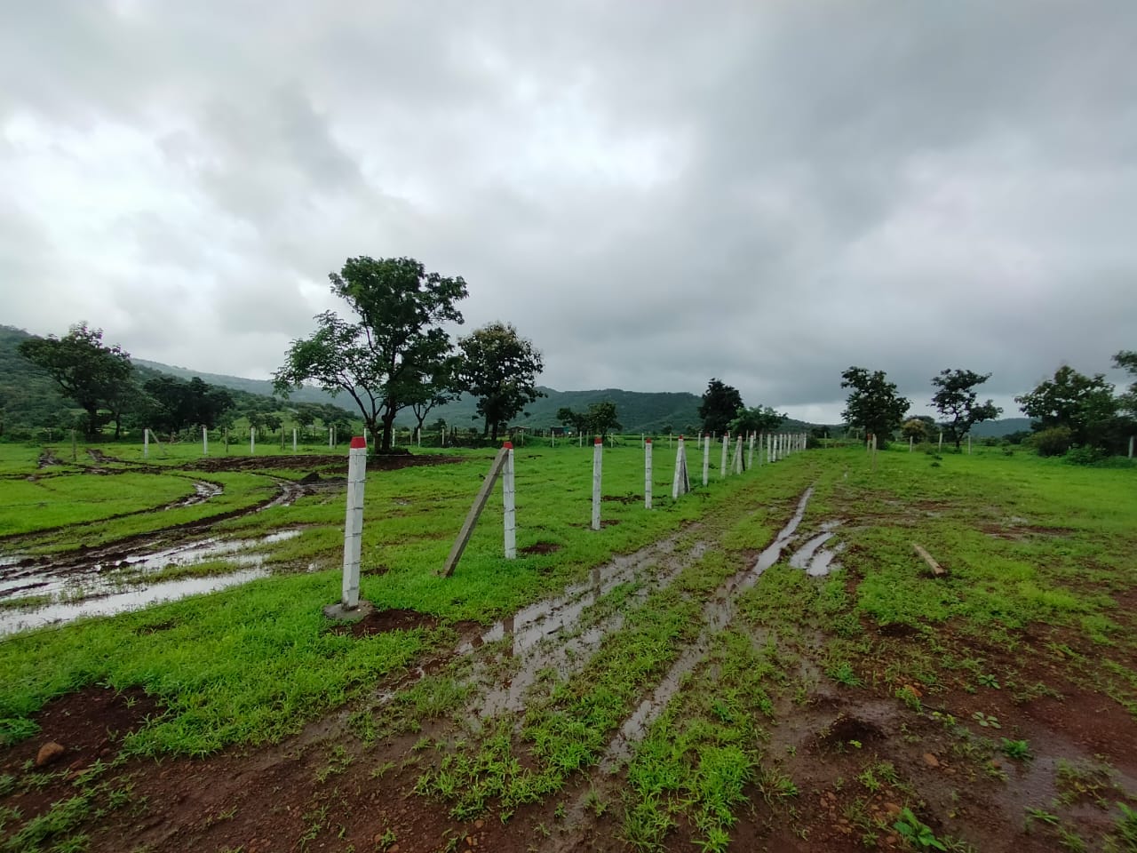 WhatsApp Image 2025-08-11 at 9.35.17 PM (1)