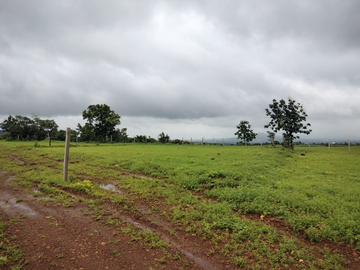 WhatsApp Image 2025-08-11 at 9.35.17 PM